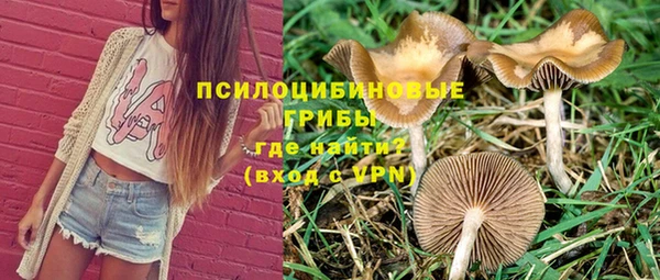 прущие крисы Баксан