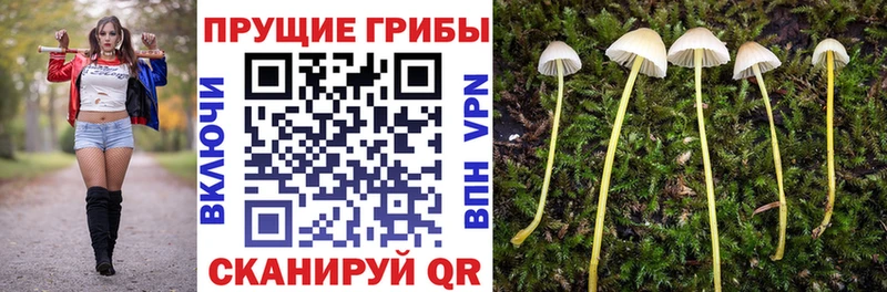 Псилоцибиновые грибы мицелий  Слюдянка 